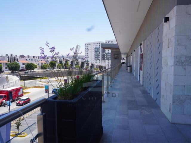 LOCAL COMERCIAL EN RENTA EN XENTRIC MIRADOR