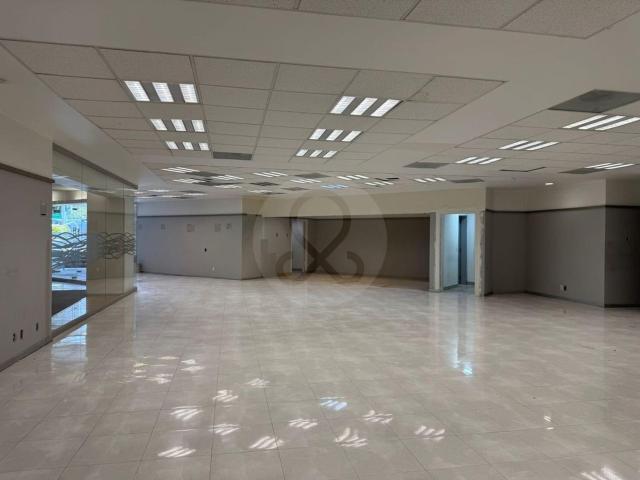 Local comercial en renta Lomas de Chapultepec