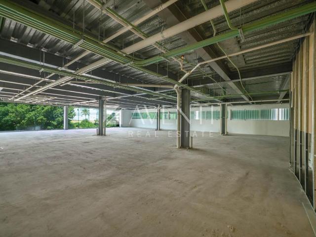 Local comercial en renta, Mera Corporation, Canc?n