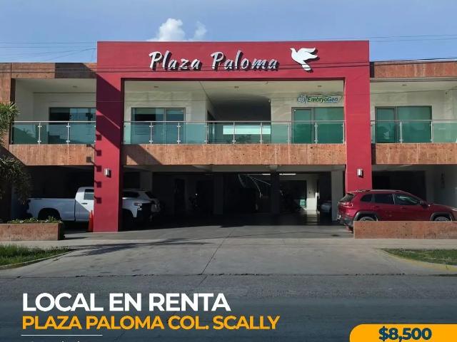 LOCAL COMERCIAL EN RENTA PLAZA PALOMA