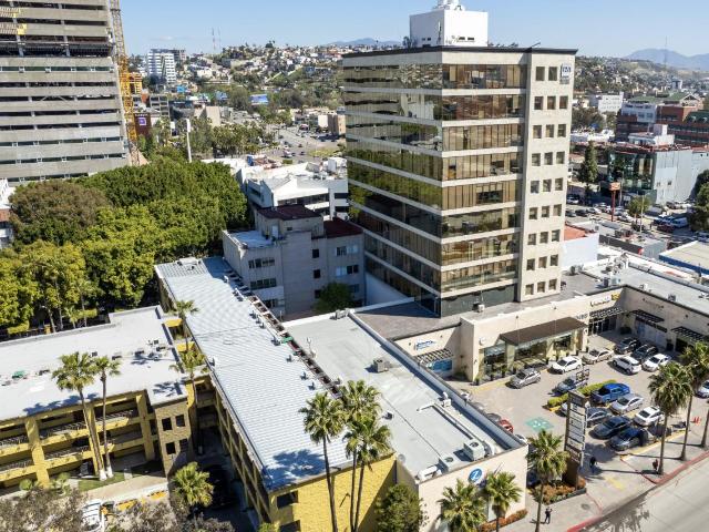 Espacios Corporativos y Comerciales en Renta ? Torre Platino