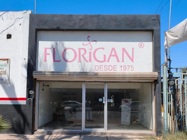 Local comercial en venta en Ciudad Obreg?n, Sonora