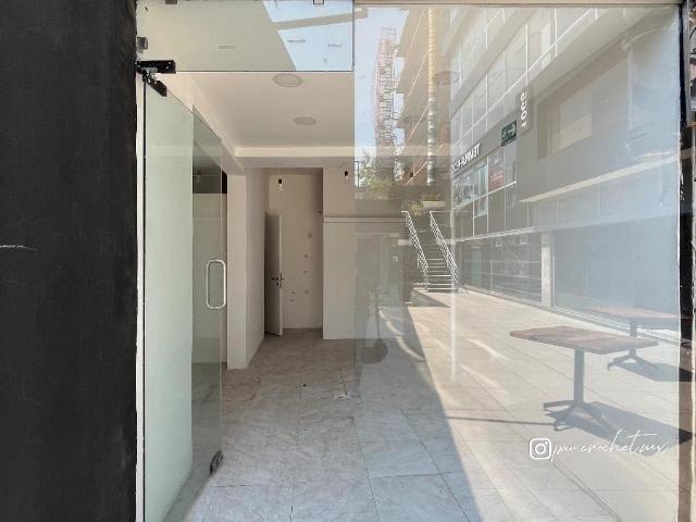 LOCAL COMERCIAL PASEO DE LAS PALMAS