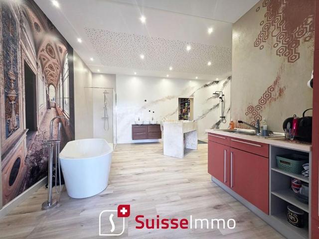 Local commercial show room L'Isle Sur Le Doubs 3 pièce s 180 m2