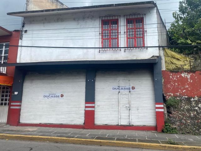 Local Coatepec