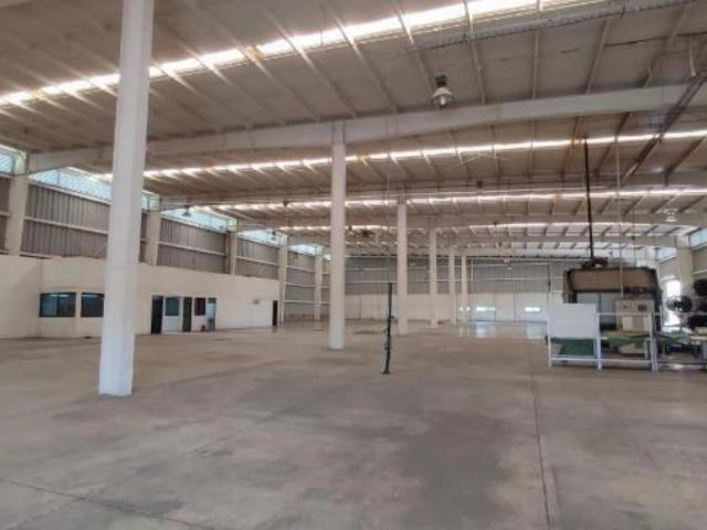 Local Cuautla