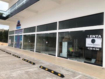 Local de 50 m? en renta y venta sobre Av. Prolongaci?n La Luna Canc?n | Alta exposici?n comercial