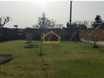 Local de 60m2 con posibilidad de unir local anexo de 100m2 en pleno Paseo de