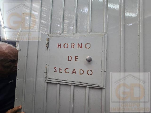 Local en Tamaulipas
