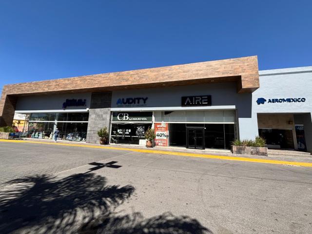 Local en Trojes de Alonso, Aguascalientes