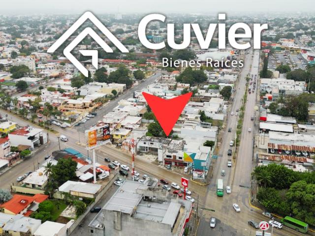 Local en Unidad Nacional