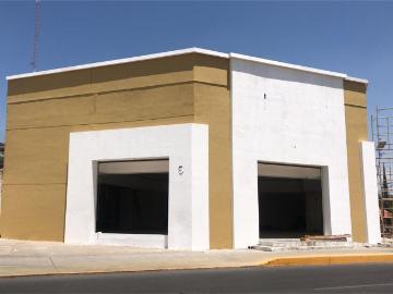 Local en Venta Malec?n del R?o, Le?n, Gto