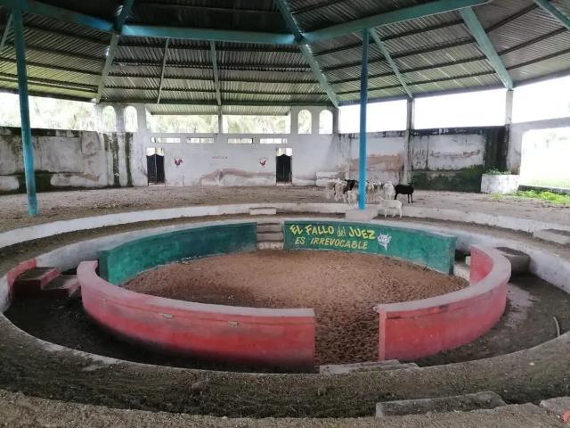 Local en venta en Villa Corona Centro, Villa Corona, Jalisco