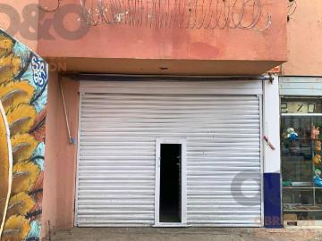 Local en Venta en Lerdo de Tejada, Le?n Gto
