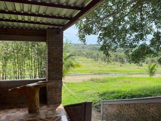 Local en Lomas Campestre Residencial