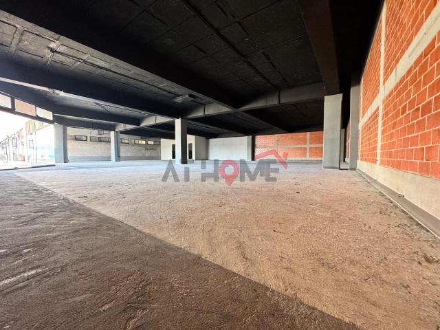 Local Comercial en Renta para Gimnasio en Lomas de Angel?polis | 470 m?
