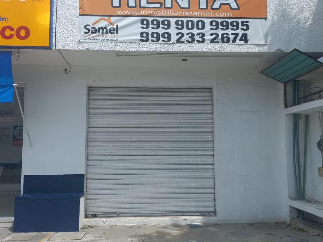 Local en Local #6 de 35 m2 En Avenida Miguel Hidalgo Ruta 5