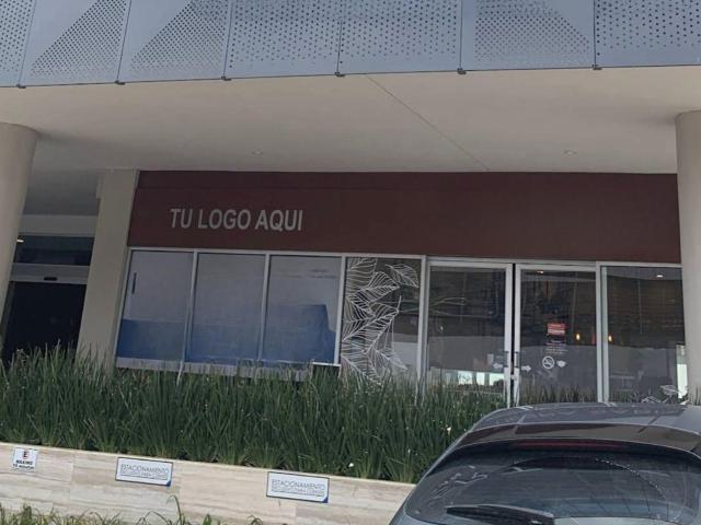 Local en Pedregal