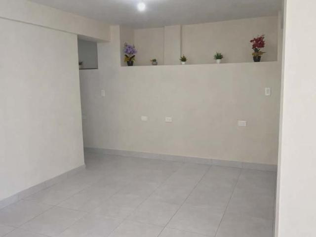 Local en Renta