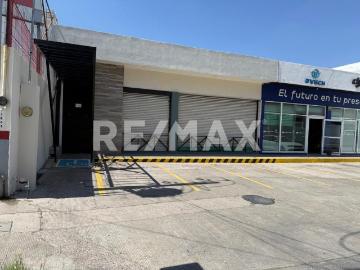 Local en Renta