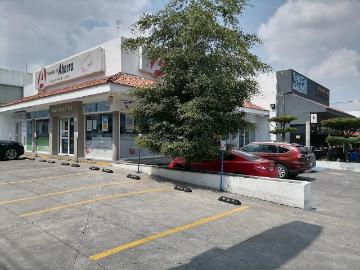 Prados Vallarta, Pinos ZAPOPAN, Guadalajara Jalisco, Jalisco