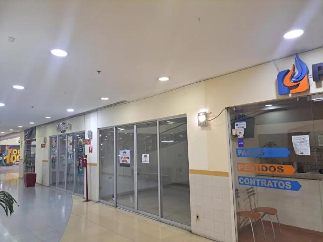LOCAL EN RENTA INT. 19, EN AVENIDA, SAN LUIS POTOSI, S.L.P