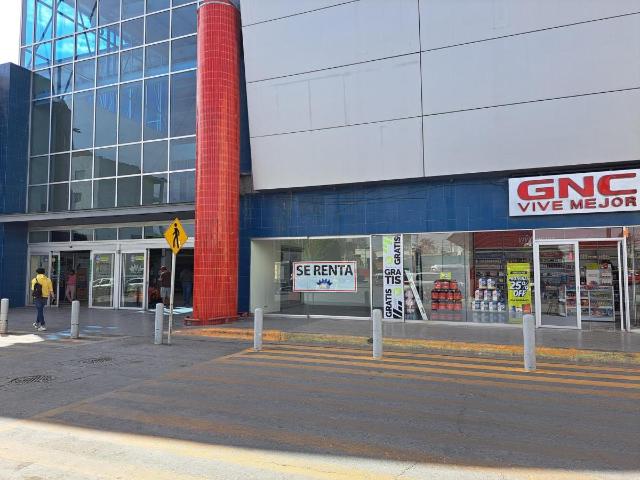 LOCAL EN RENTA INT. 7, AVENIDA, SAN LUIS POTOSI, S.L.P