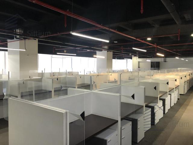 Local en Renta Lomas de Chapultepec 525 m2