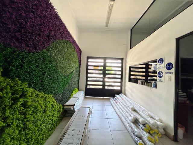LOCAL EN RENTA MONTERREY GARZA SADA