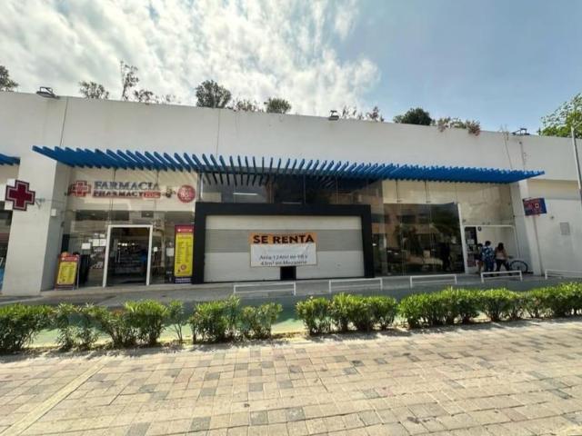 Local en renta sobre avenida importante plaza comercial