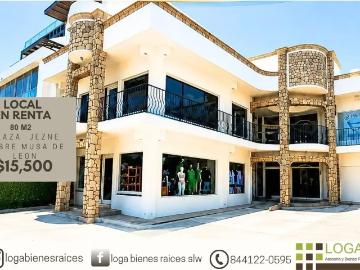 LOCAL EN RENTA SOBRE BLVD. MUSA DE LEON