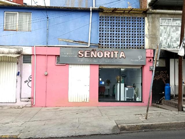 Local en Real de Atizap?n