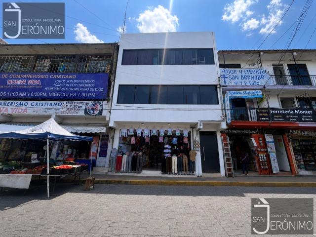 Local en San Bernab? Ocotepec