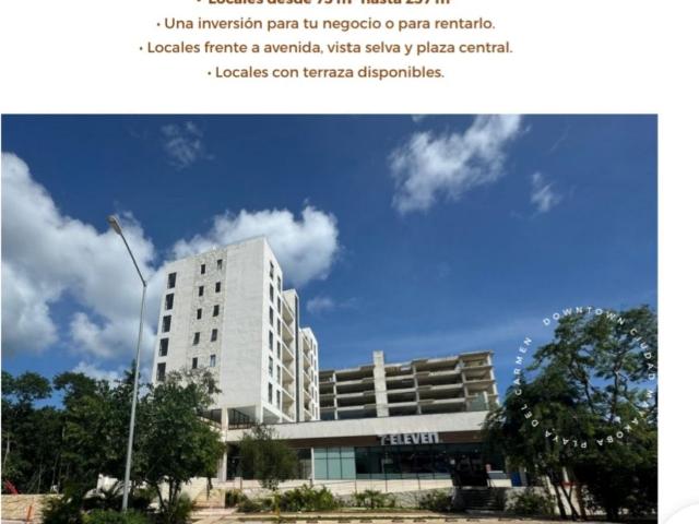 Local Fraccionamiento Ciudad Mayakoba