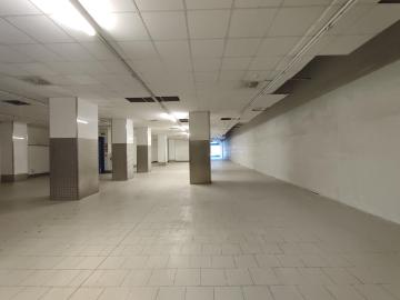 Calle Jon Arrospide, Deusto, Zangroiz, Vizcaya, País Vasco