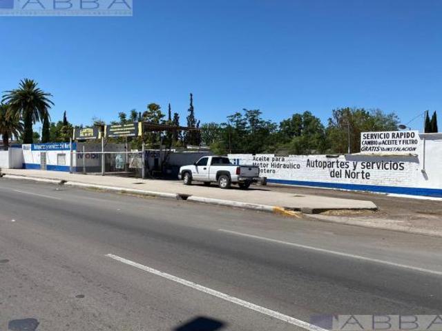 Local Juárez