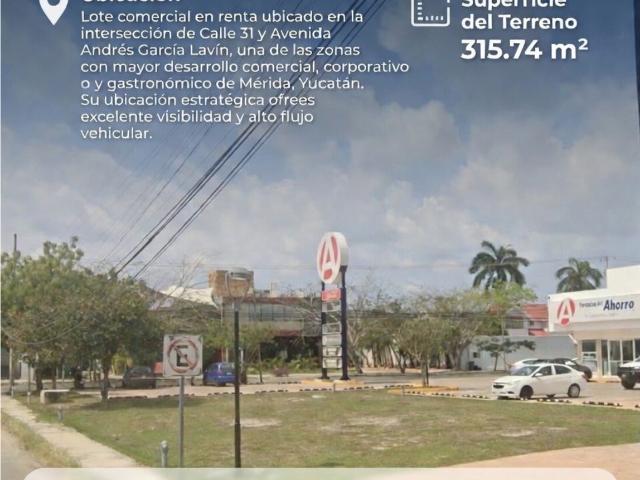 Local M?rida