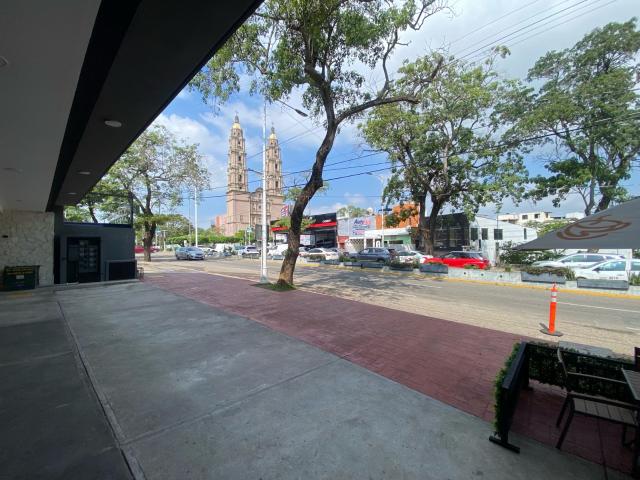 Local Mayito