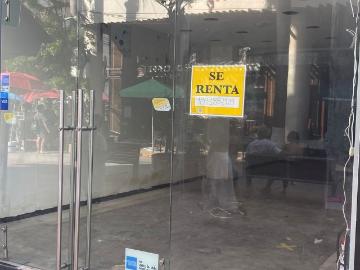 Local Playa del Carmen