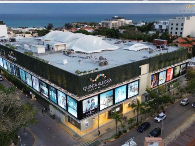 Local Playa del Carmen
