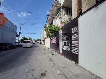 Local Playa del Carmen