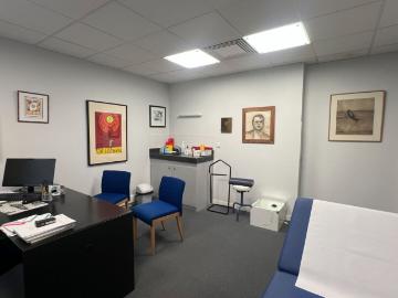 LOCAL PROFESSIONEL