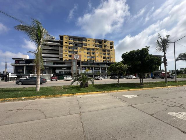 Local Punta Palmeira