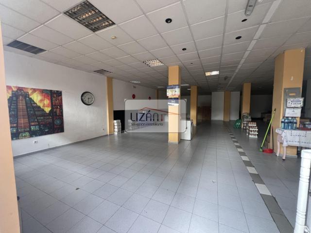 Locales, Alquiler, Pumarín
