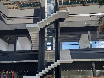 Locales comerciales en preventa al Norte Aguascalientes Eugenio Garza Sada