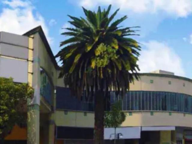 LOCALES COMERCIALES EN RENTA EN AV. PUENTE DE TECAMACHALCO, LOMAS DE SAN ISIDRO