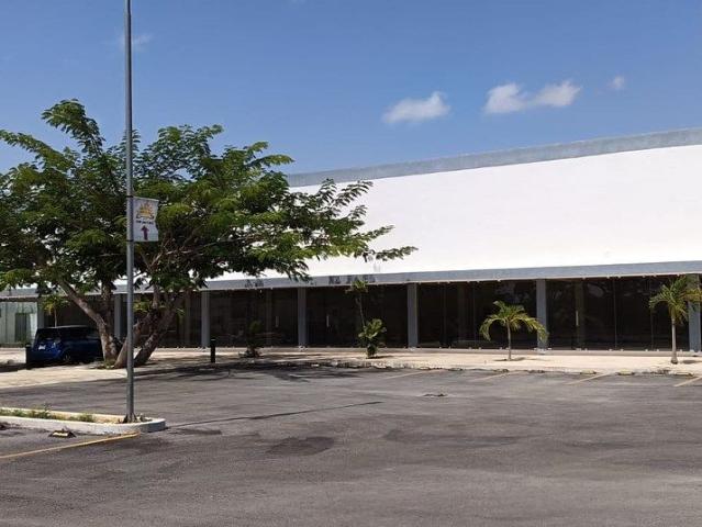 Locales Comerciales en Renta | RML |