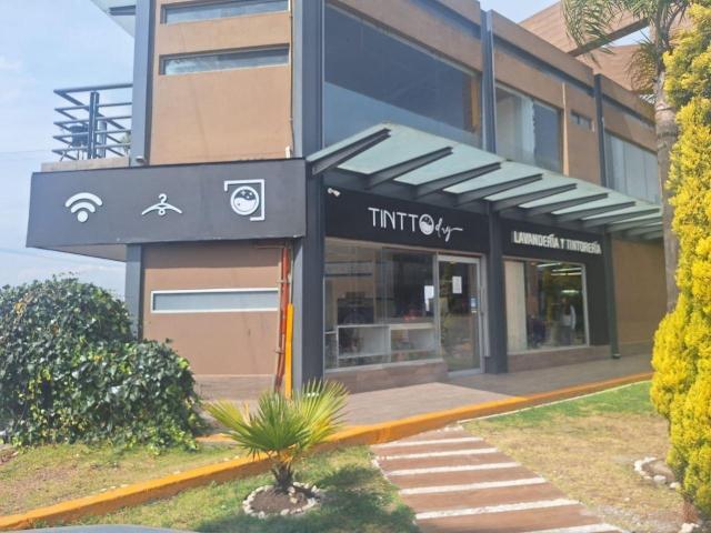Locales Comerciales en Renta