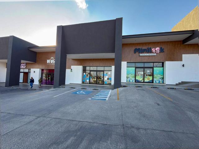 LOCALES EN RENTA BLVD. ALONSO DE TORRES, CELTA DE VIGO LEON GTO