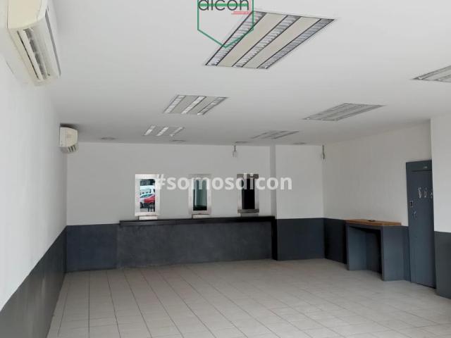 Locales en Renta Forjadores